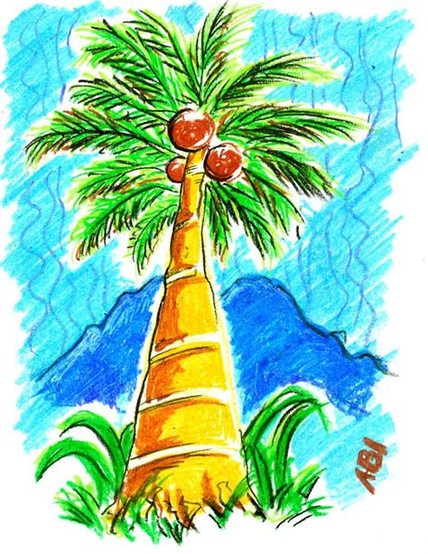 puno ng niyog drawing